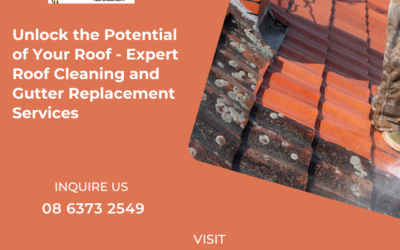 Unlock the Potential of Your Roof – Expert Roof Cleaning and Gutter Replacement Services