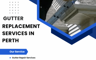 Why Hire Expert Gutter Replacement Services in Perth WA?