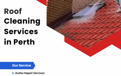 Why Hire Expert Roof Cleaning and Gutter Replacement Services in Perth